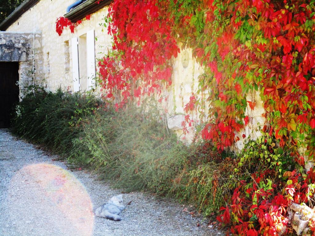 Gites Coeur De Lot Soucirac Εξωτερικό φωτογραφία